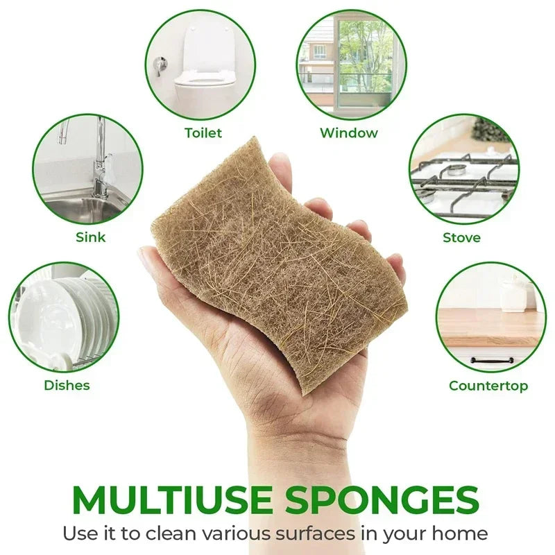 Eco-Friendly Natural Plant Scrub Sponges with Coconut Scrubber – Biodegradable Kitchen Cleaning Accessories